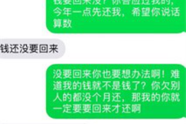 高安为什么选择专业追讨公司来处理您的债务纠纷？